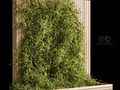 Wooden box ivy plants 01 3D model