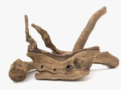 Old Wood Roots Low-poly 3D model