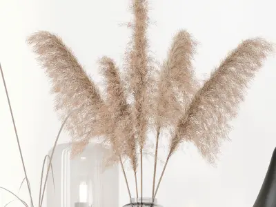 Black decorative set with pampas 3D model