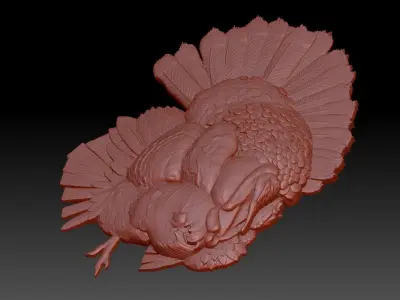 Turkey 3D print model
