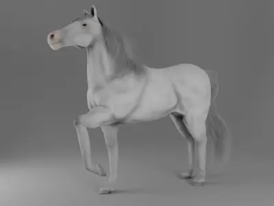 Horse 3D model 32