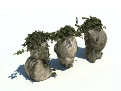 Rock With Green Vine 3D model