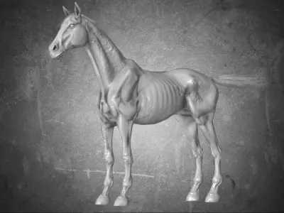 Horse - Pestilence No Gear 3D model