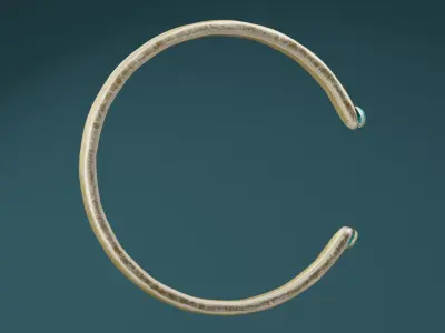 Golden Bangle  Low-poly 3D model