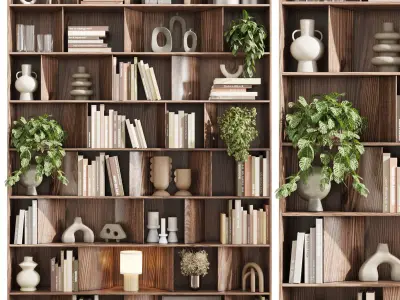 wooden Shelves Decorative With Plants and Book  Low-poly 3D model