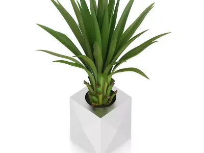Small Palm in Metal Pot 3D model
