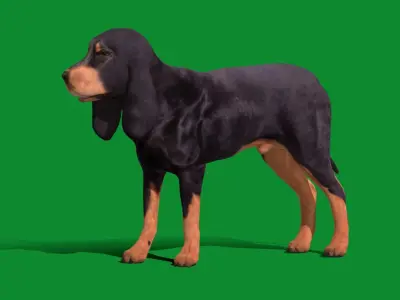Black And Tan Coonhound Dog Low-poly 3D model