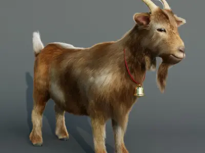 Goat realistic Low-poly 3D model