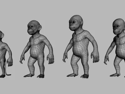 Baby Primate BaseMesh  Low-poly 3D model