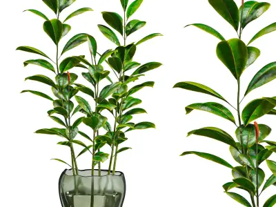 bouquet 3D model