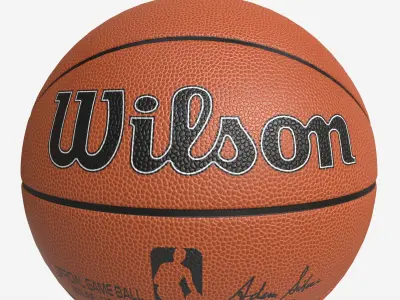 Basketball Official Game Ball Wilson 3D model