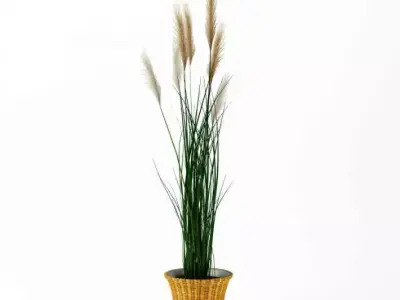 Potted Plant 3D model