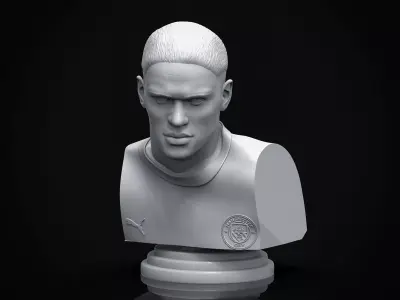 Erling Haaland 3D Printable Bust 3D print model