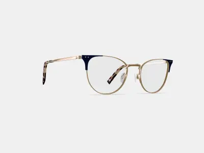 Ava Eyeglasses in Polished Gold with Brushed Navy 3D model