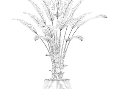 Strelitzia in black pot 3D model