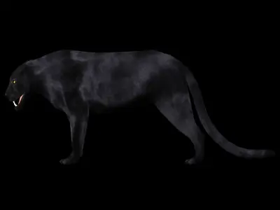 Panther 3D model Low-poly 3d model 3D model