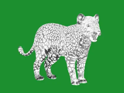 Leopard Cub Low-poly 3D model