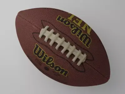 Wilson NFL Football 3D model