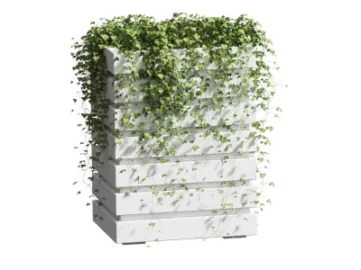 Ivy in tubs - 3 models 3D model