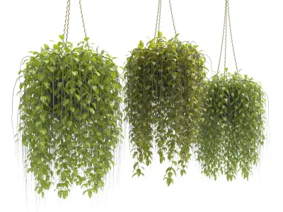 Plants collection 30 3D model