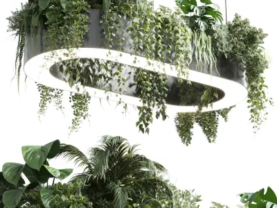 indoor plant and hanging plant and pot light  3D Model Collection