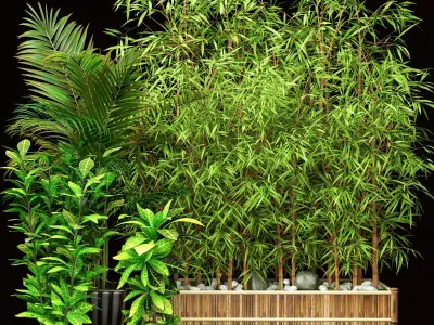 Outdoor Plant Set 3D model