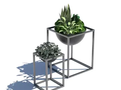 Decorative plants Low-poly 3D model