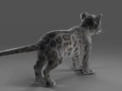 Fur Baby Snow Leopard Rigged in Blender  Low-poly 3D model