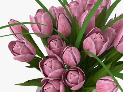 Tulips in glass vase 3D model