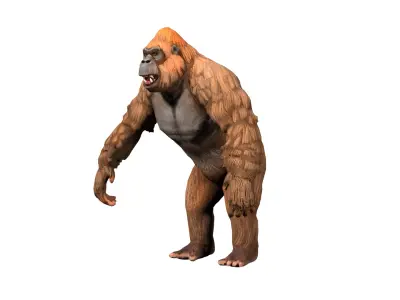 gorilla  rig  high-poly  textured 3D model