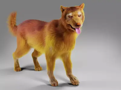 Fur Red Dog Rigged in Blender  Low-poly 3D model