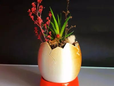 Egg Shaped Mini Planter for Succulent and Plants  3D print model