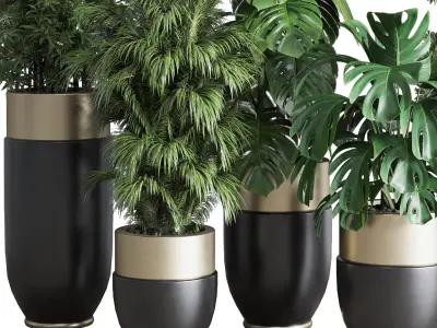 indoor plant set 312 longhi godwin pot bamboo monstera Low-poly 3D model