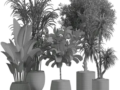 Indoor plant 13 3D model