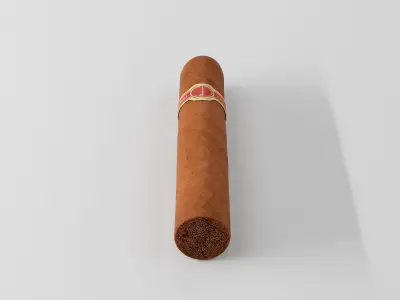 Cigar Dunhill Cabinetta 3D model
