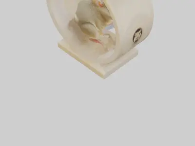 Gerbil running in wheel model Low-poly 3D model