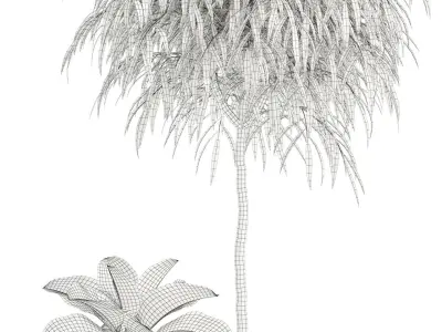 Plants collection 111 3D model