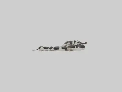 California King Snake slithering model Low-poly 3D model