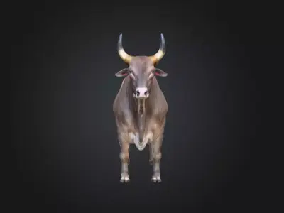 Majestic Farm Bull Low-poly 3D model