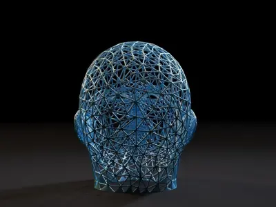 Head voronoi 3D print model