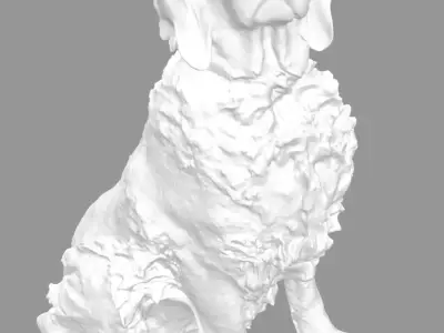 Cocker spaniel 3D model