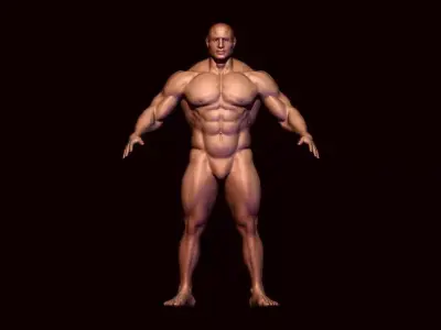 body builder base meash  Low-poly 3D model