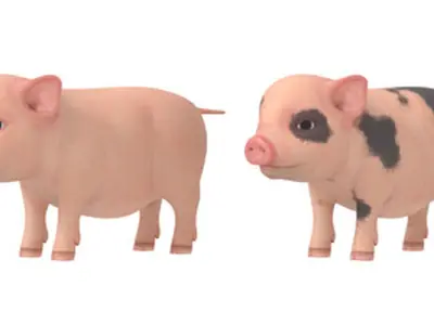 Lovely pig Lovely pig 3D model