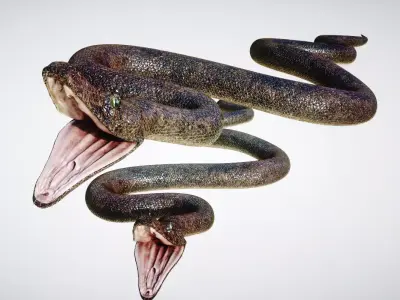 Snake Low-poly 3D model