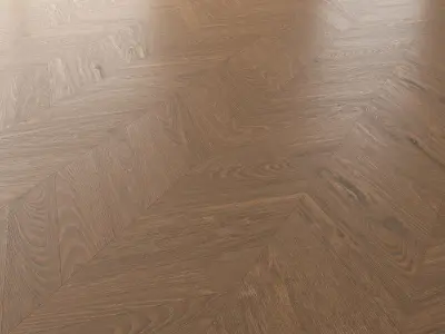 Parquet Oak Vincinyatta Brushed set 4 3D model