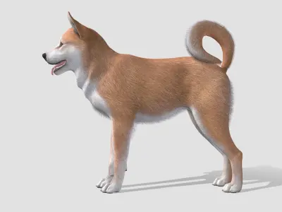 Dog - Shiba Inu Low-poly 3D model