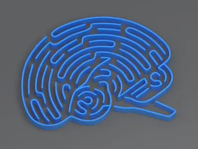 blue brain maze 3D model