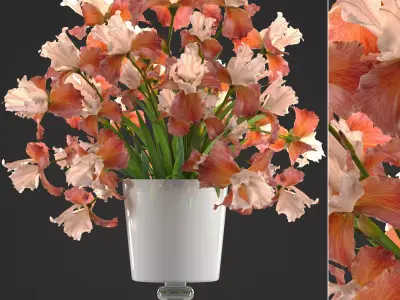 Flower bouquet iris 3D model