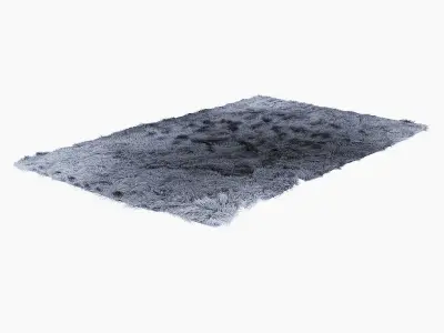 Fuleri carpet 3D model