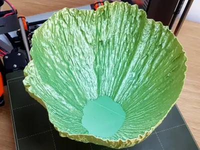 Birch Tree 3D Scan Applied to Functional and Decorative Items Free 3D print model